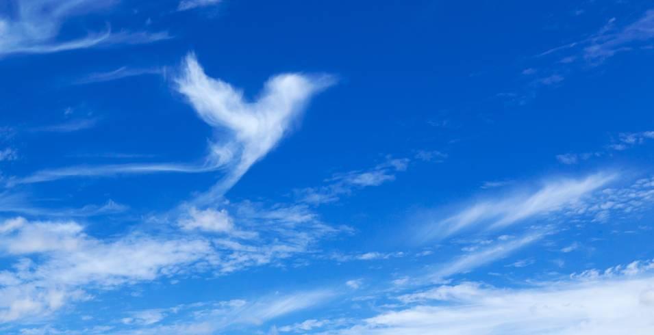 Nuage oiseau